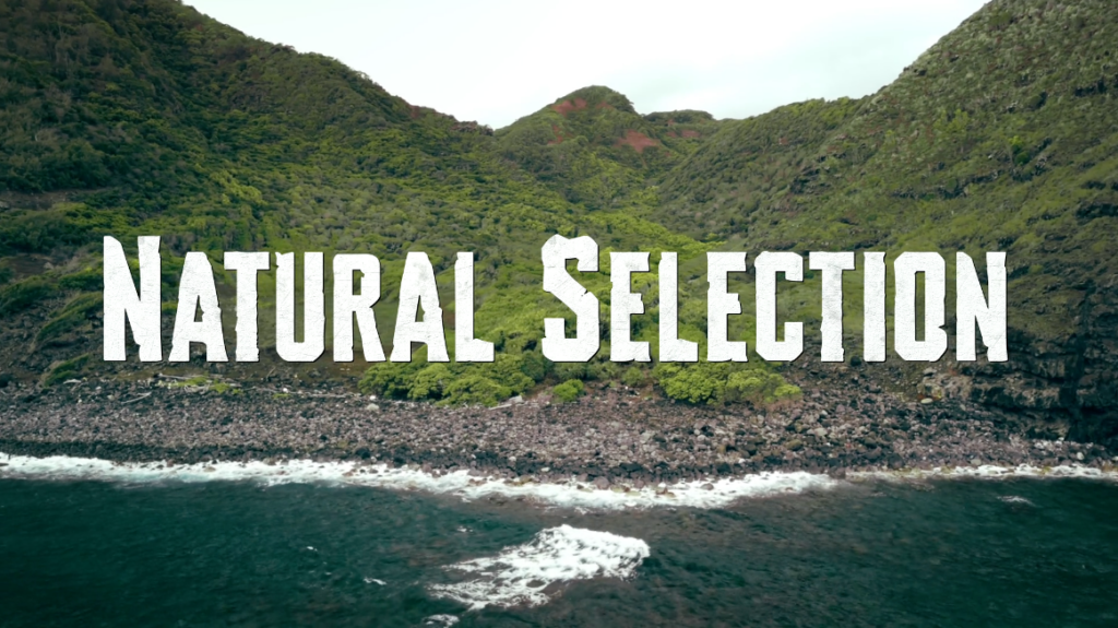 Natural Selection Title Card