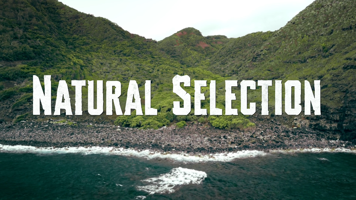 Natural Selection Title Card